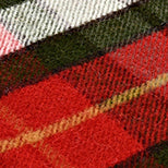 Forest Green and Red Check Tartan Blanket